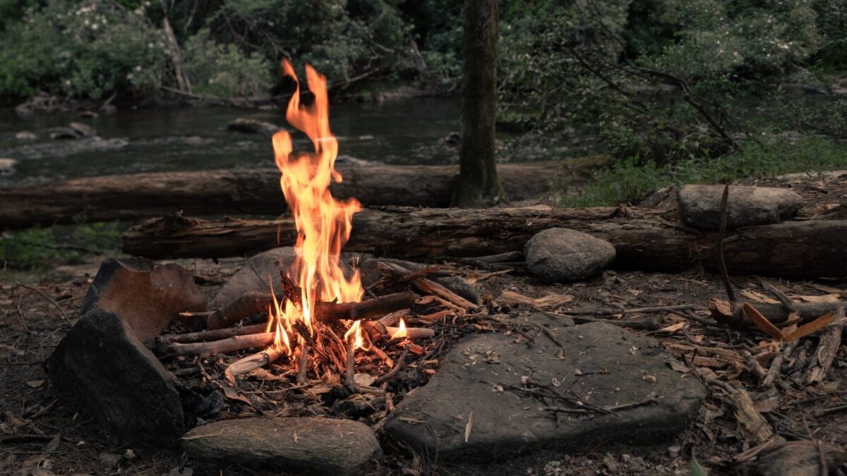 New Theory Suggests Meat Preservation, Not Cooking, Drove Early Fire Use