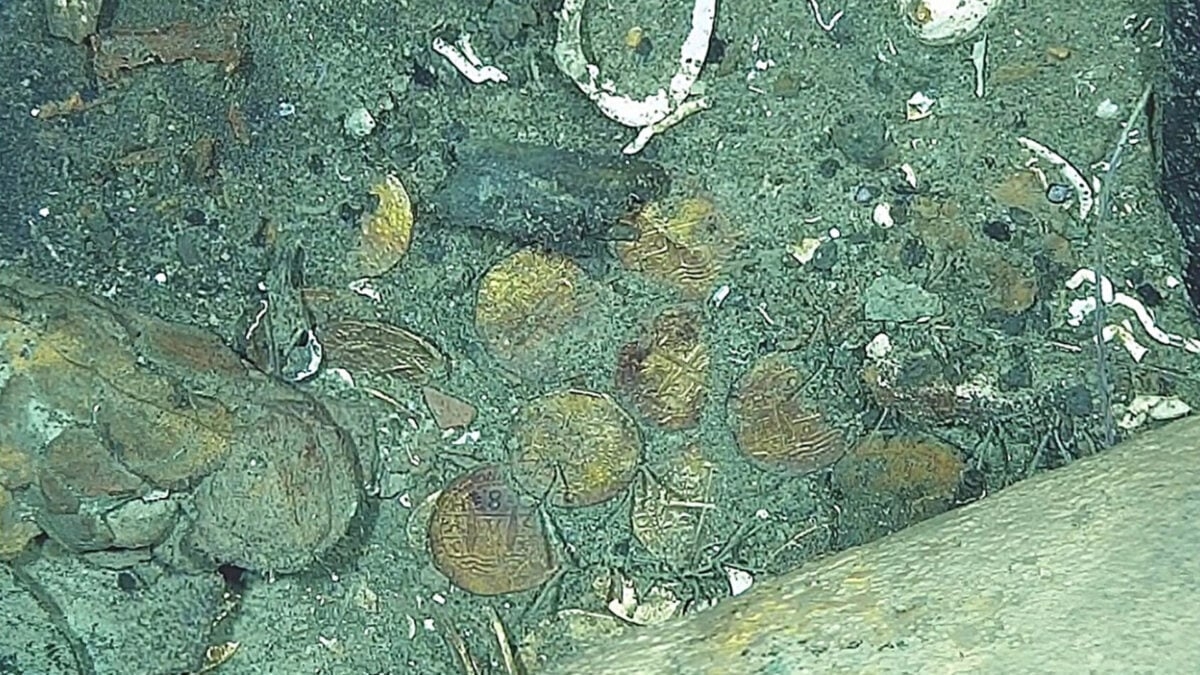 300-Year-Old Coins Help Confirm Shipwreck as the Long-Lost San José Galleon