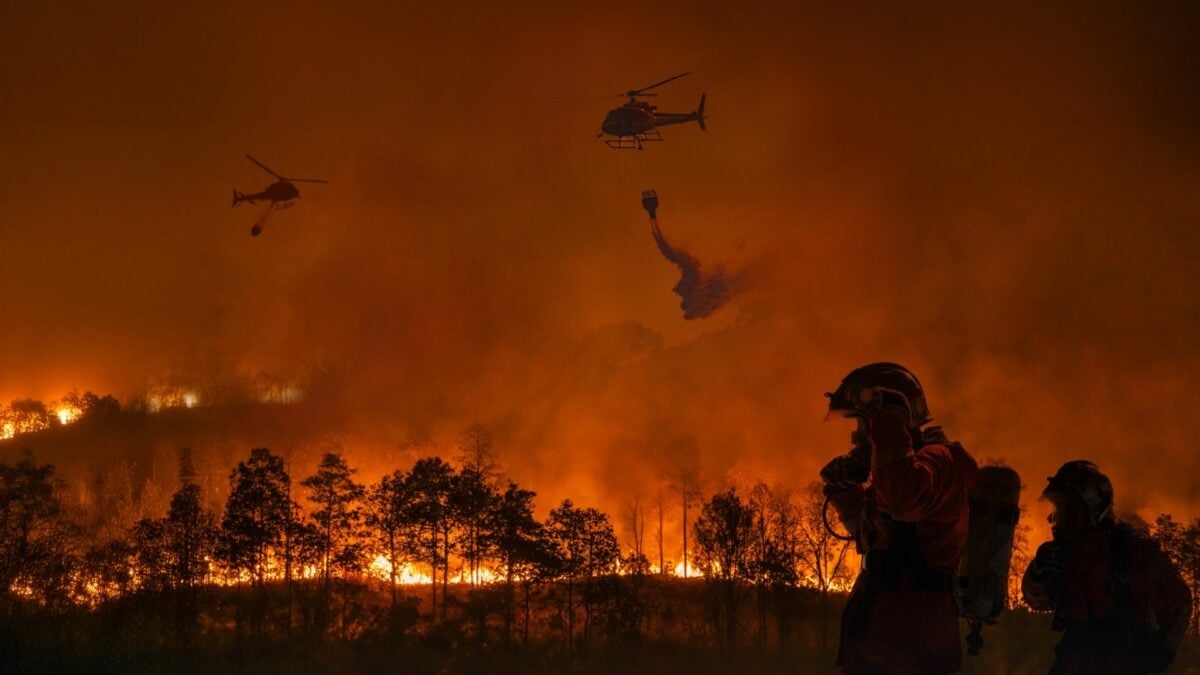 Alarming Conditions and Federal Chaos Could Spell a Disastrous California Fire Season