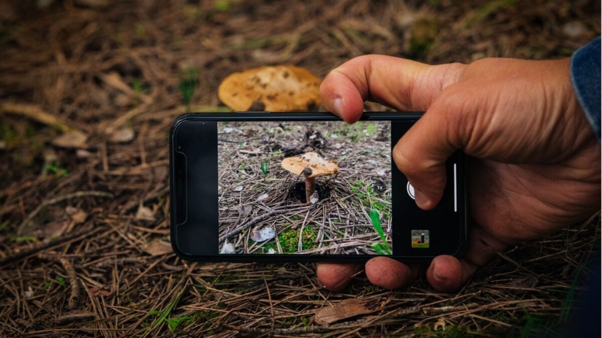 Your Nature Photos Are Doing More Science Than You Think