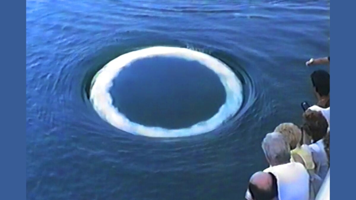 What Whale Bubbles Can Teach Us About Alien Communication