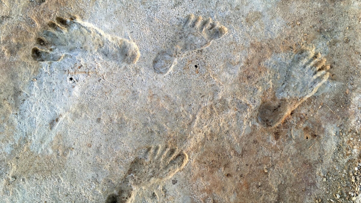 New Study Backs Controversial Claim of 23,000-Year-Old Human Footprints in New Mexico