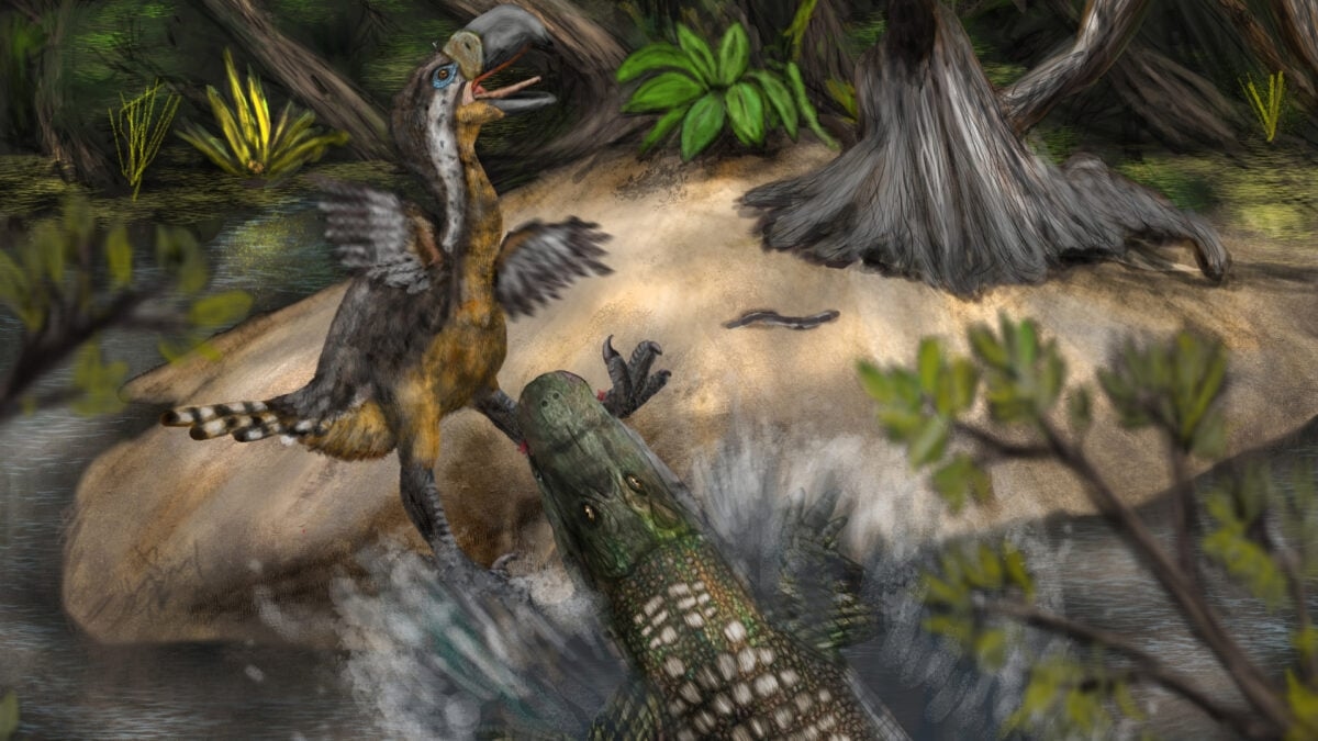 An Even Scarier Predator Hunted Giant ‘Terror Birds' in South America