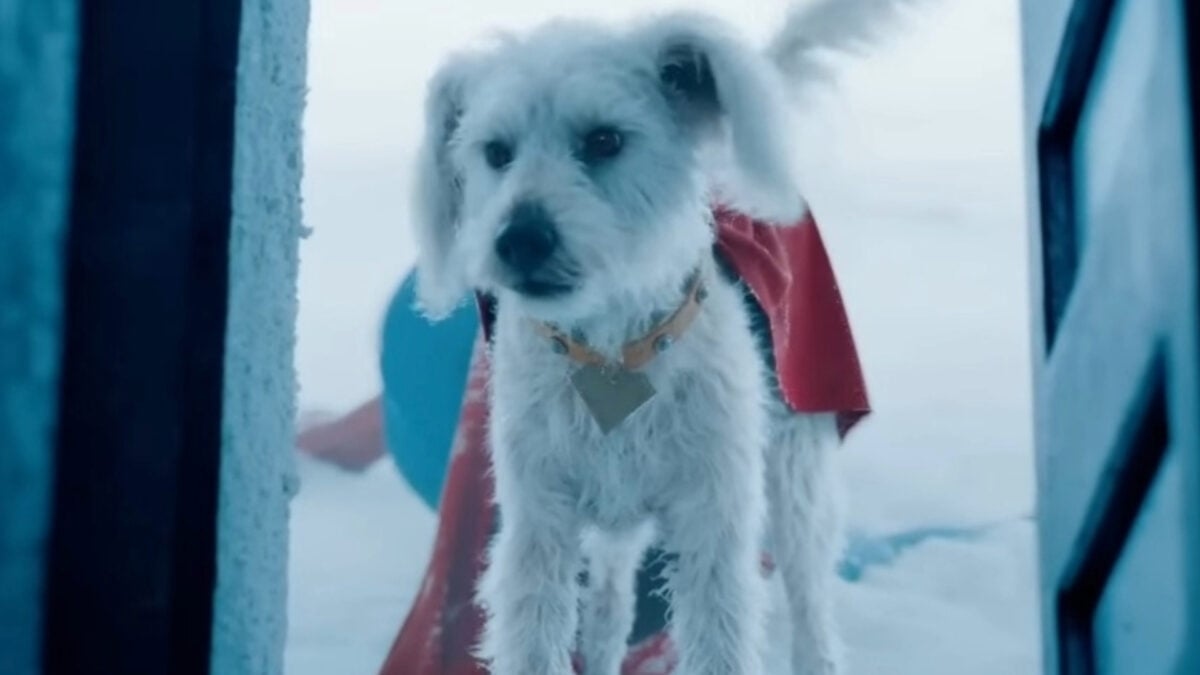 Krypto's ‘Superman' Spotlight Is Inspiring People to Adopt Their Own Superdog