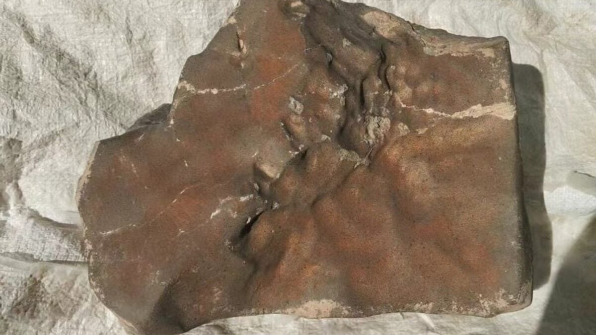 Biggest Martian Meteorite Ever Found Could Fetch $4 Million at Auction