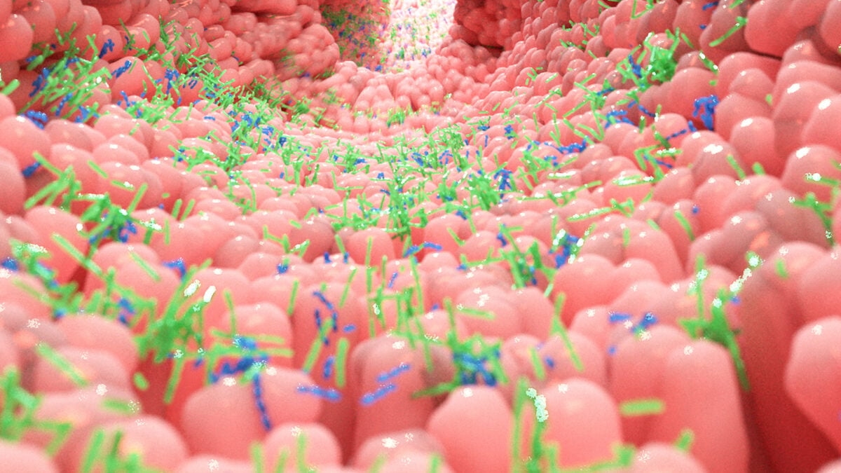 Newly Discovered Gut ‘Sense' Could Change How We Think About Hunger and Health