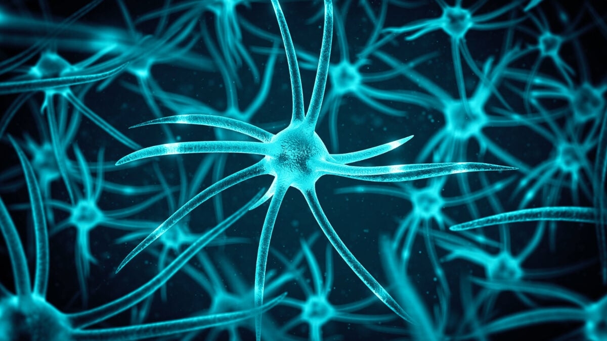 New Research Debunks Myth That Brain Cells Stop Growing After Childhood