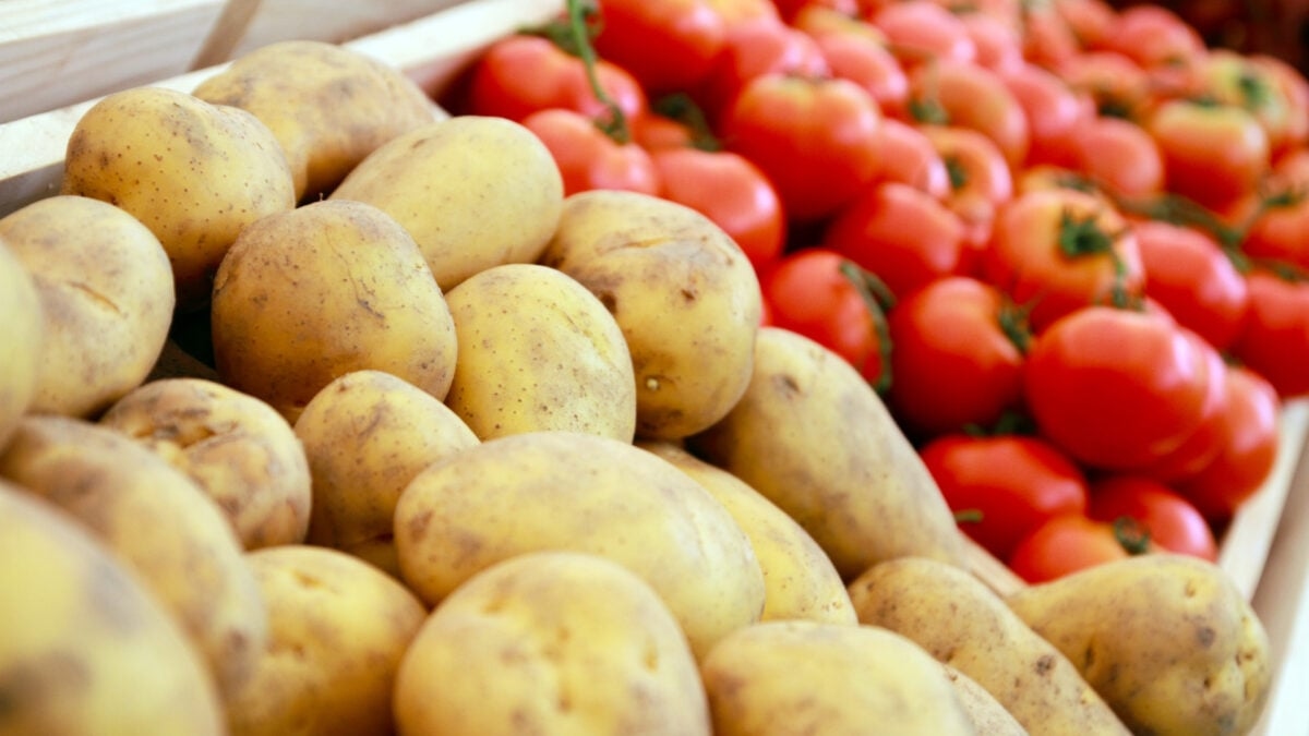 Potatoes Evolved From Tomatoes, Study Reveals