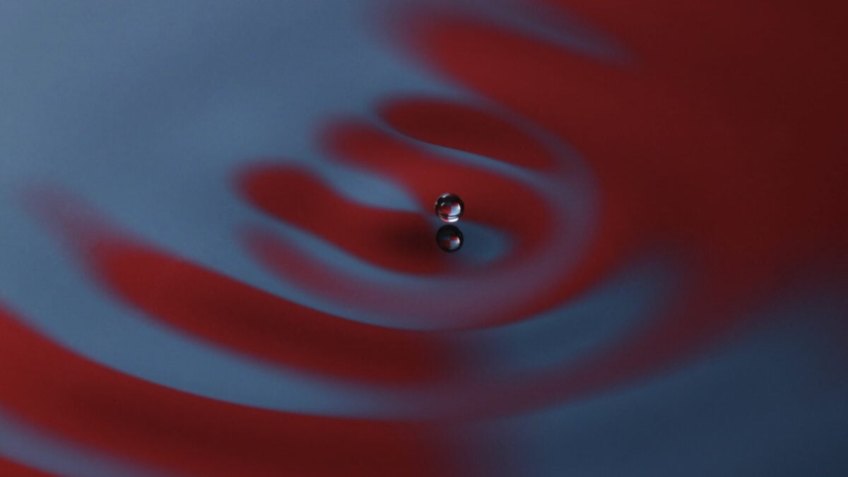 After 100 Years of Quantum Mechanics, Physicists Still Can't Agree on Anything