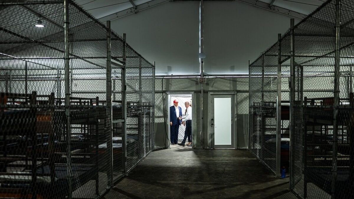 Environmentalist Lawsuit Halts Construction of Florida's ‘Alligator Alcatraz'