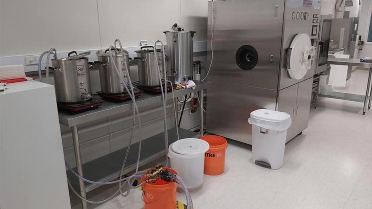 White Noise Makes Beer Brew Faster, Scientists Claim