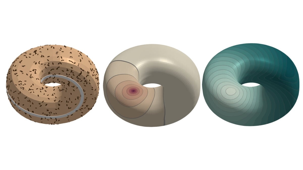 Meet Meschers, MIT's Tool for Building Paradoxical Digital Objects