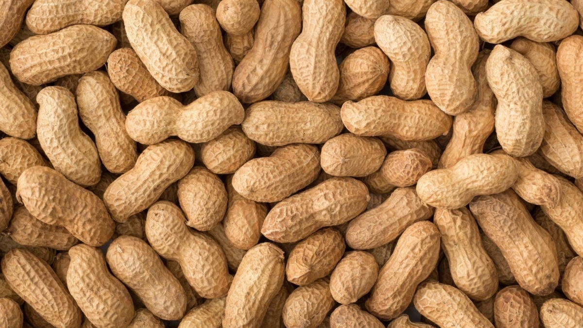 This Already-Approved Drug Could Stop Food Allergies' Worst Reactions