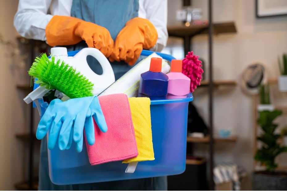 Hiring a domestic worker in Saudi? Here's what you must know