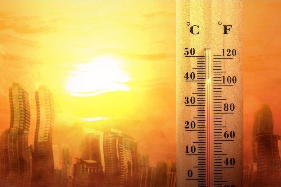 UAE weather: Highest, lowest temperatures recorded