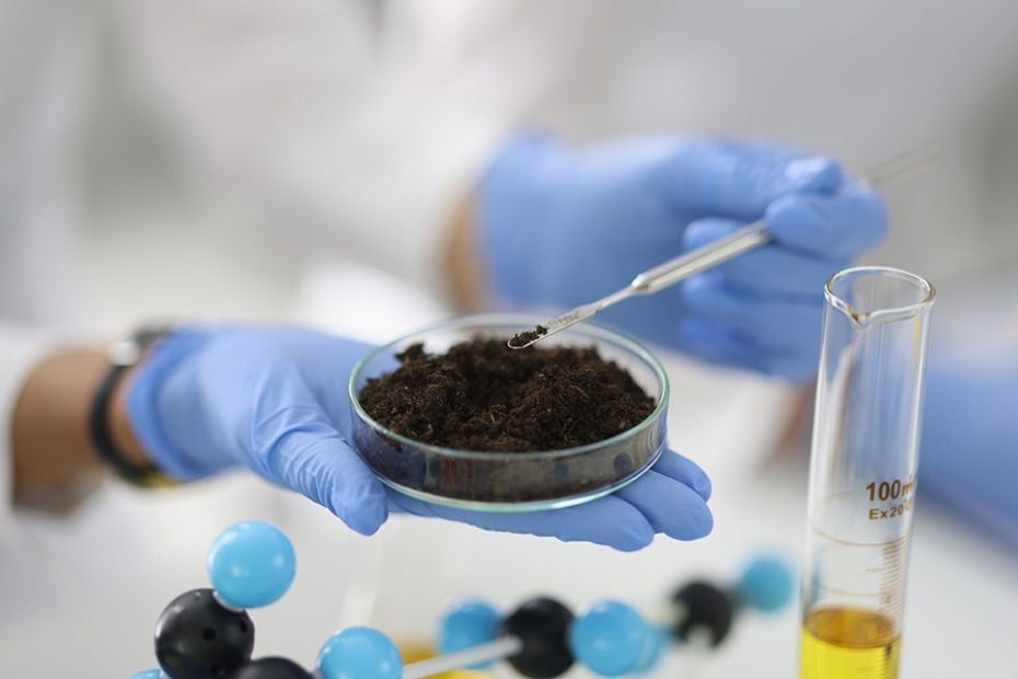 Science journal spotlights AUS study on sustainable soil systems