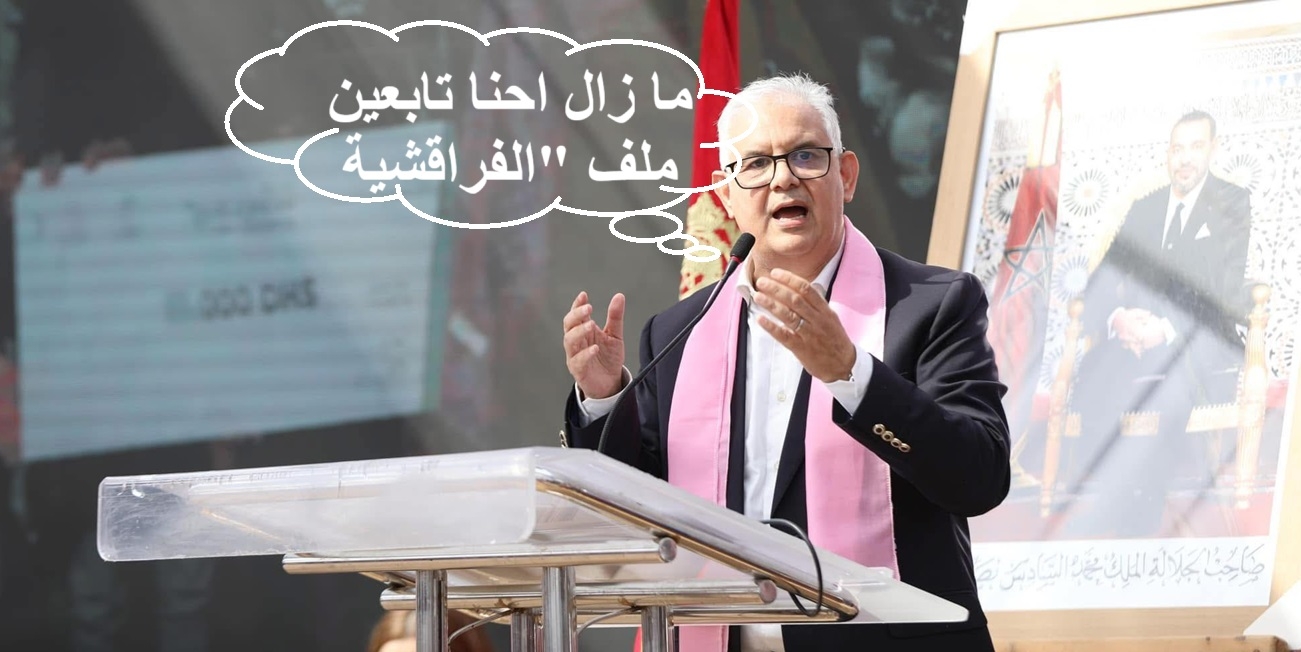 مرة أخرى.. نزار بركة يندد بالممارسات اللاأخلاقية التي رافقت عملية الدعم الاستثنائي لاستيراد المواشي في لقاء حزبي بإقليم الصخيرات