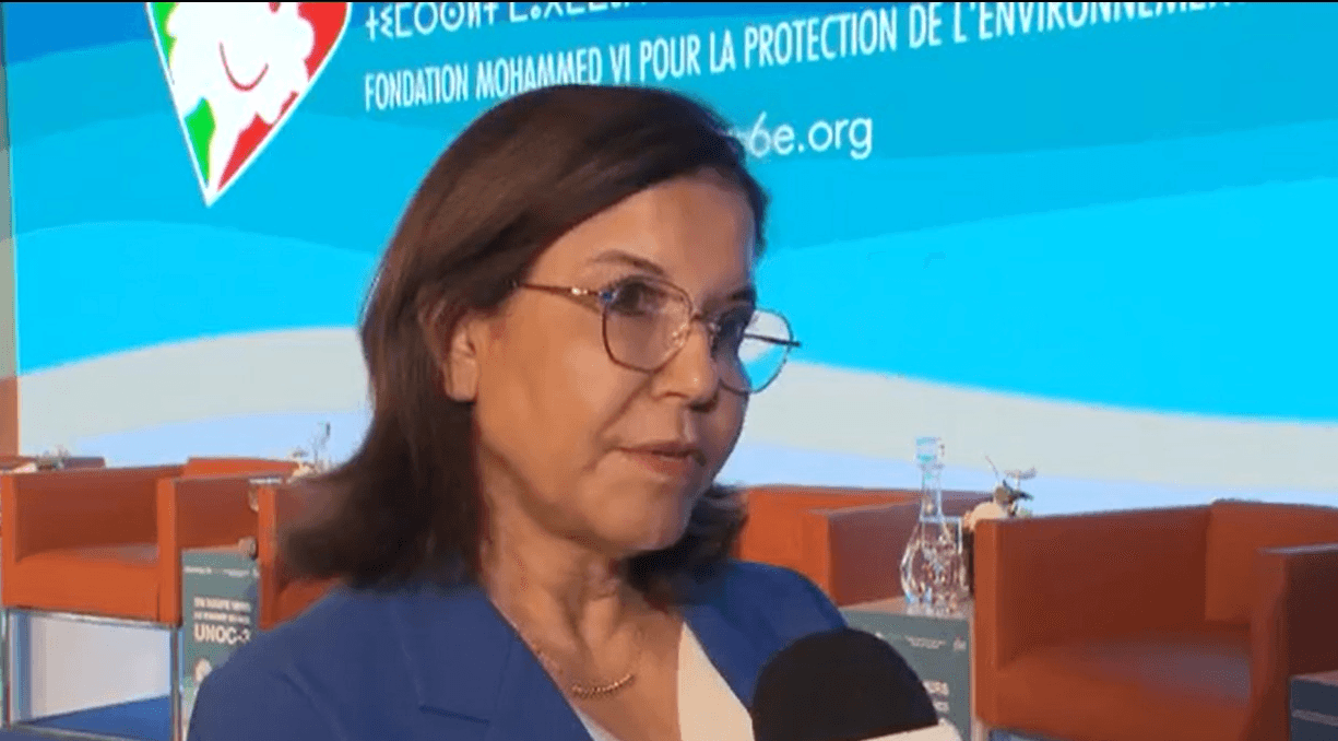 مؤسسة محمد السادس لحماية البيئة تنظم ورشة رفيعة المستوى استعدادا لمؤتمر الأمم المتحدة الثالث للمحيطات