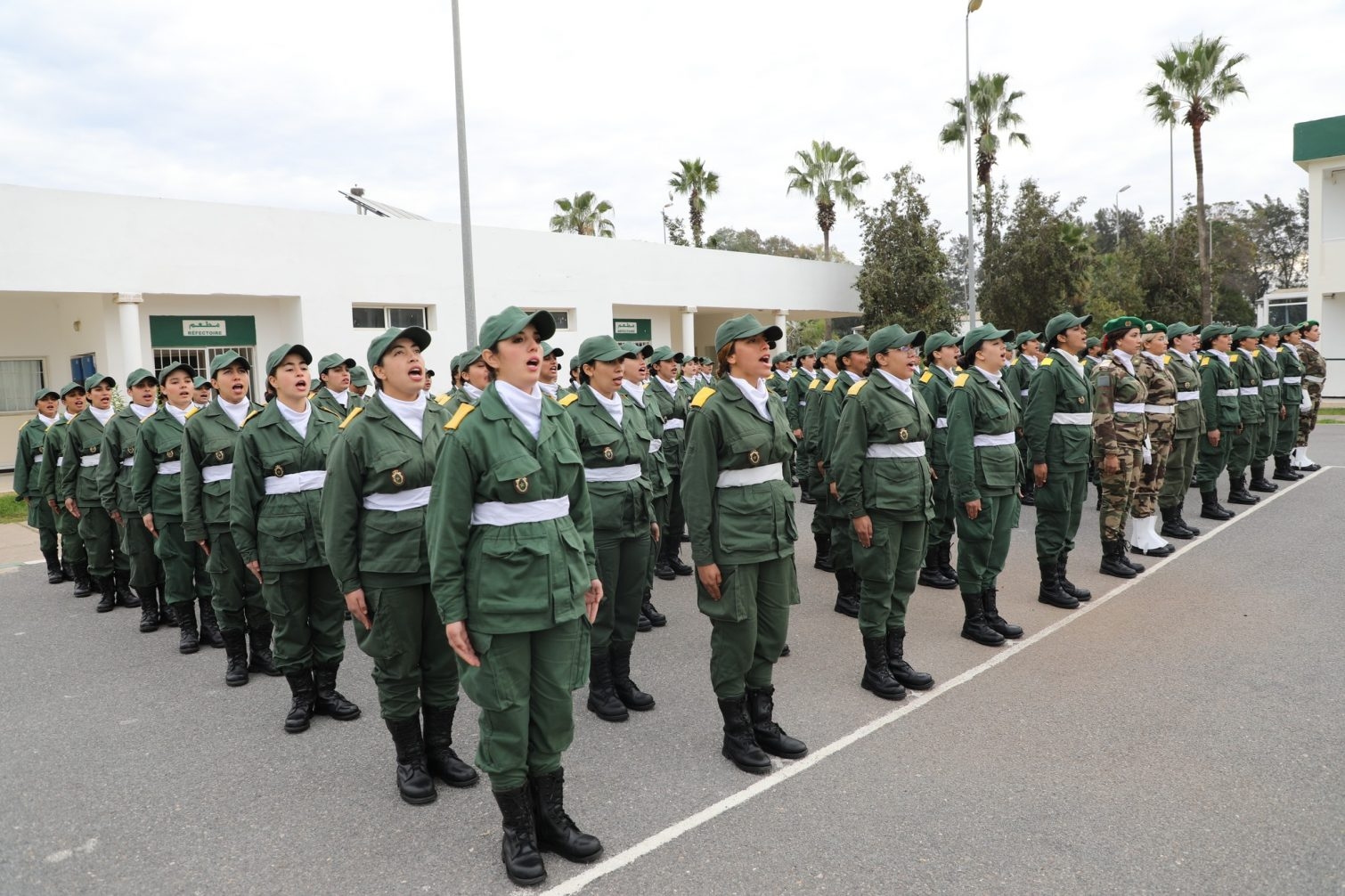 الخدمة العسكرية 2025.. تعبئة مجموعة من الوسائل التكنولوجية لمساعدة الأشخاص الذين تعذر عليهم ملء استمارة الإحصاء بوسائلهم الخاصة