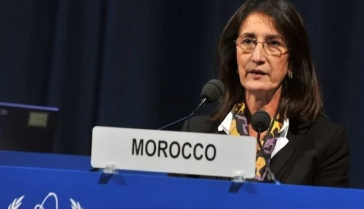 بنخضرة:المغرب ملتزم بالاضطلاع بدور ريادي في تنمية إفريقيا