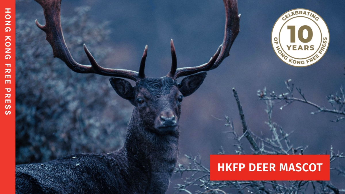 10 Years of HKFP: Why we revived our deer mascot