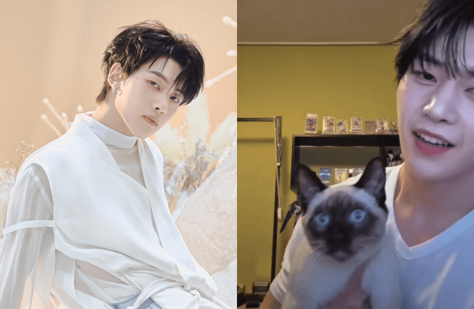 (Video) Fans Amused By ZEROBASEONE Matthew's Cat Making Surprise Debut During Livestream