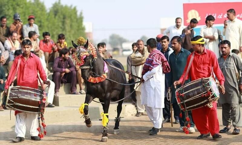 Punjab culture festival