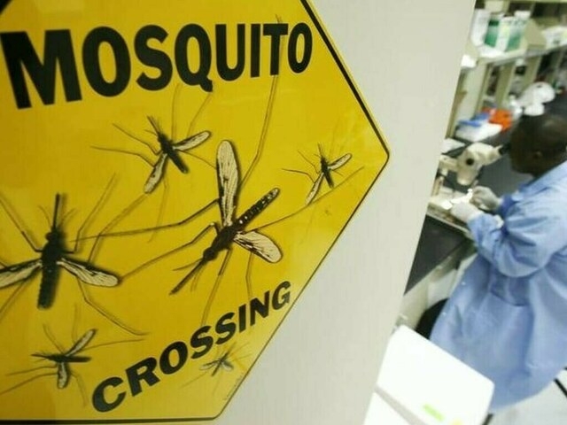 ‘Malaria becomes increasingly endemic across country'