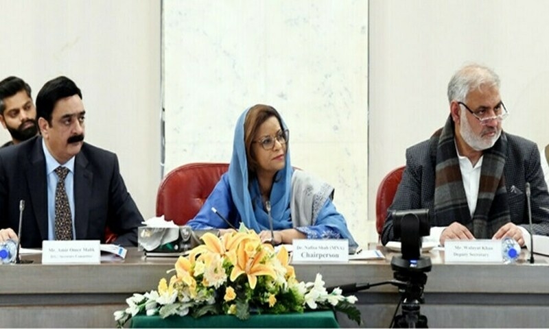 Panel concerned over meagre FPSDP allocation for women