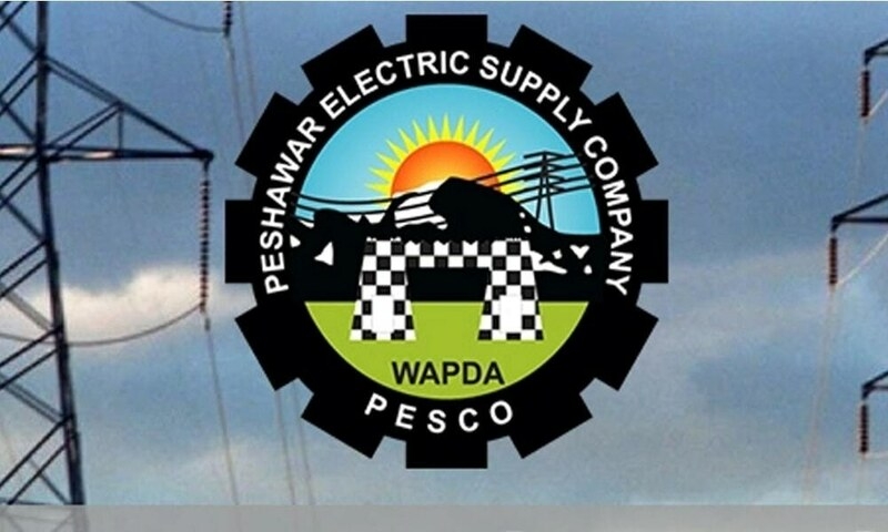 PESCO chairman presents three-month action plan