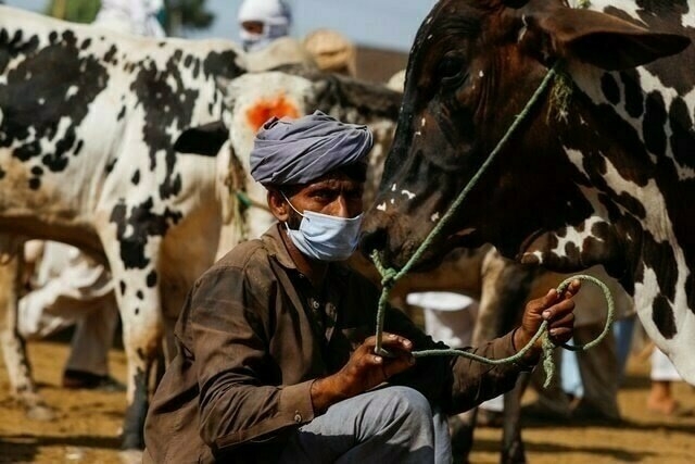 Punjab urges farmers to repay first-phase loans by 15th