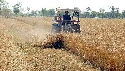 Pakistan govt takes step towards agri sector reforms