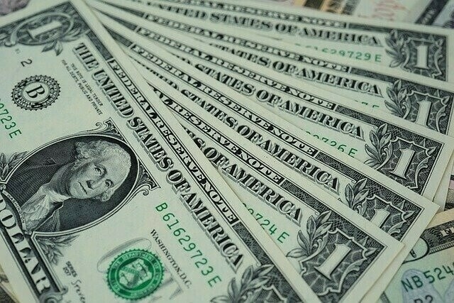 US dollar climbs after data