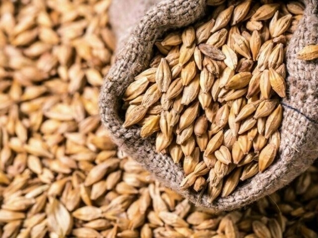 Paris wheat pushed down by export-punishing euro strength