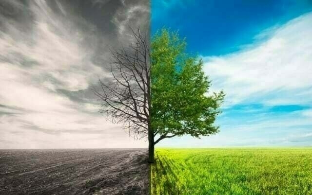 Climate hits the pivot — the way forward in agri risk management