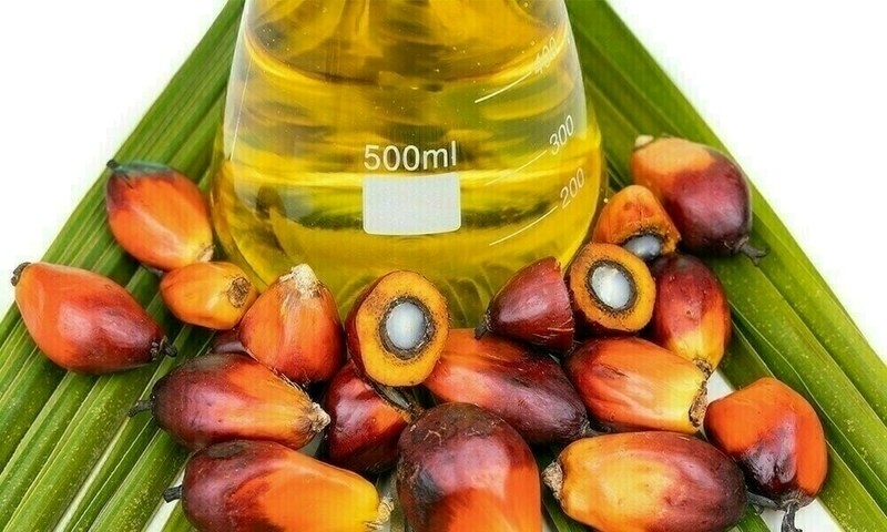 SAU, PARC organise seminar on production of palm oil on coastal areas