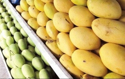 Mango deal sweetens ties between Bangladesh and China