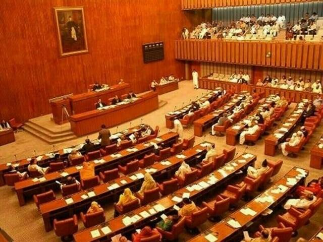 Senate body approves IT (Second Amendment) Bill 2025