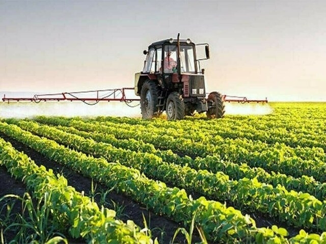Punjab, UK to collaborate on farming and livestock reforms
