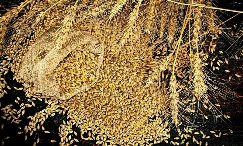 EU wheat stuck near contract lows