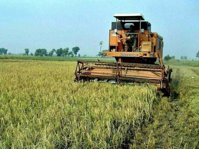 Agri financing: HBL gives largest insurance payout to farmers