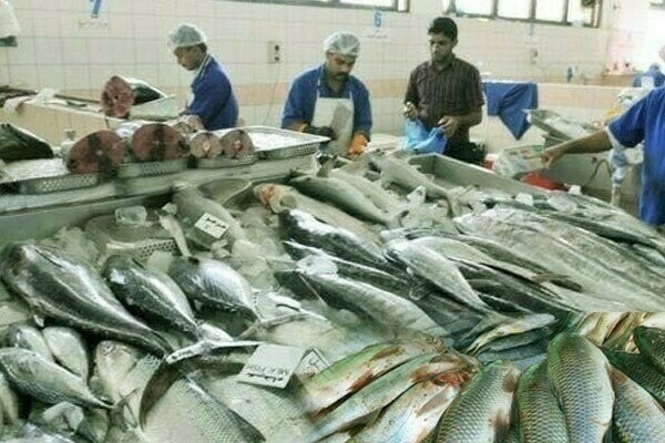 Seafood sector: performance highlighted