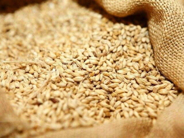 Chicago wheat turns higher