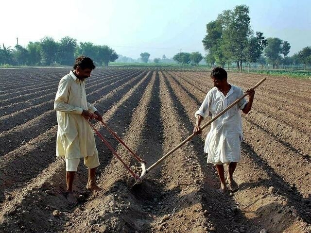 Farmers warn govt against GST imposition on agri inputs