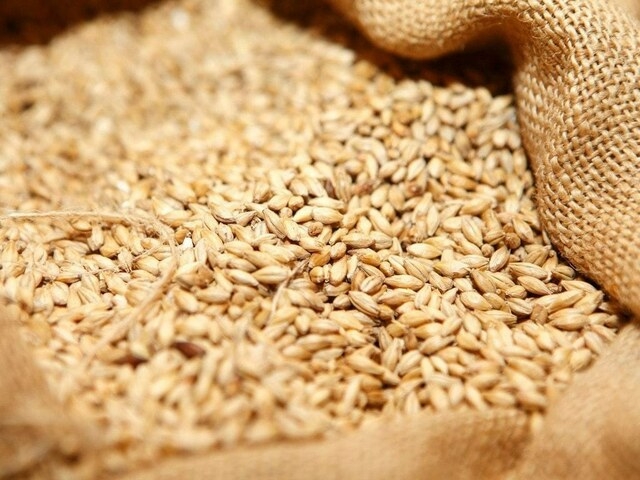CBOT wheat futures easier