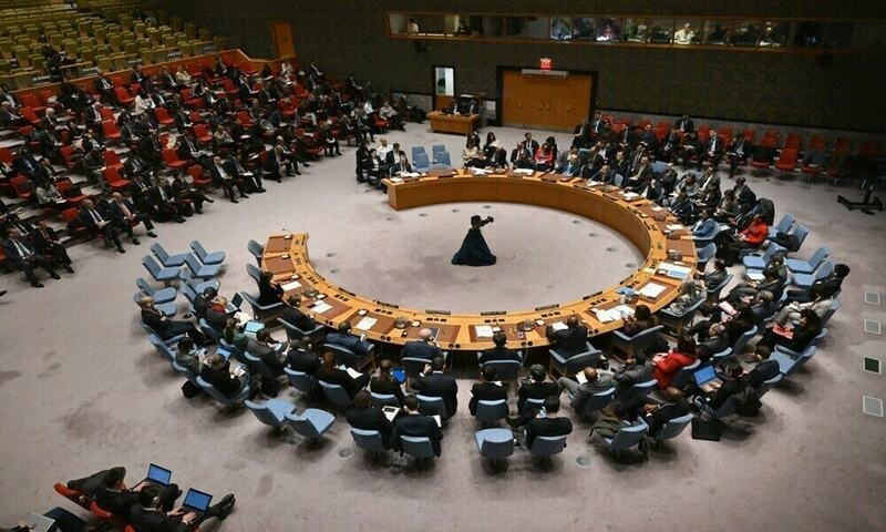 Pakistan elected vice-chair of UNSC body