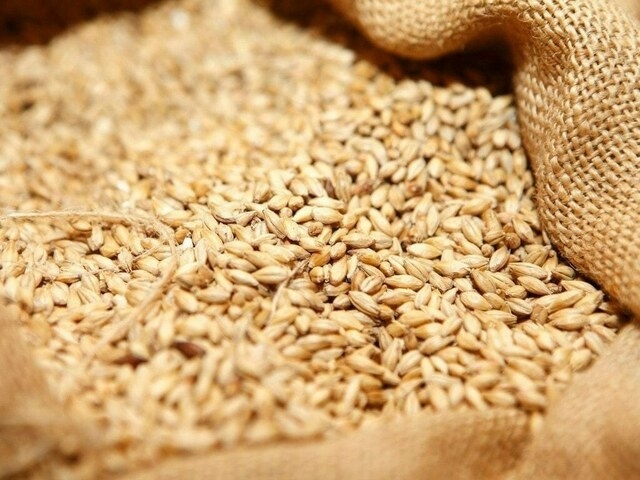 Pakistan's wheat market at a crossroads: a call for rational liberalization