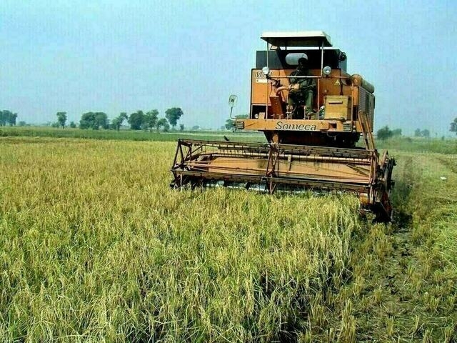 Agri resources: PKRC urges govt to abandon corporate farming