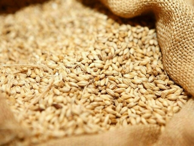 India's granaries overflow as rice stocks hit record, wheat surges