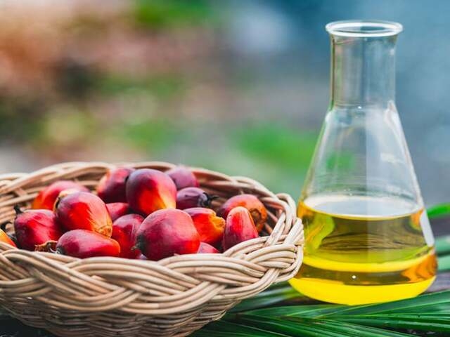 Malaysian palm oil ends with gains